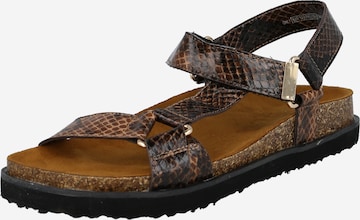 ONLY Sandals 'MOON' in Brown: front