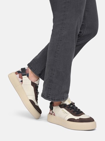 Baskets basses 'Paria' Crickit en marron : devant