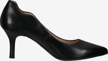 Nero Giardini Pumps in Black