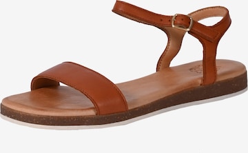 Apple of Eden Strap Sandals 'ISA' in Brown: front