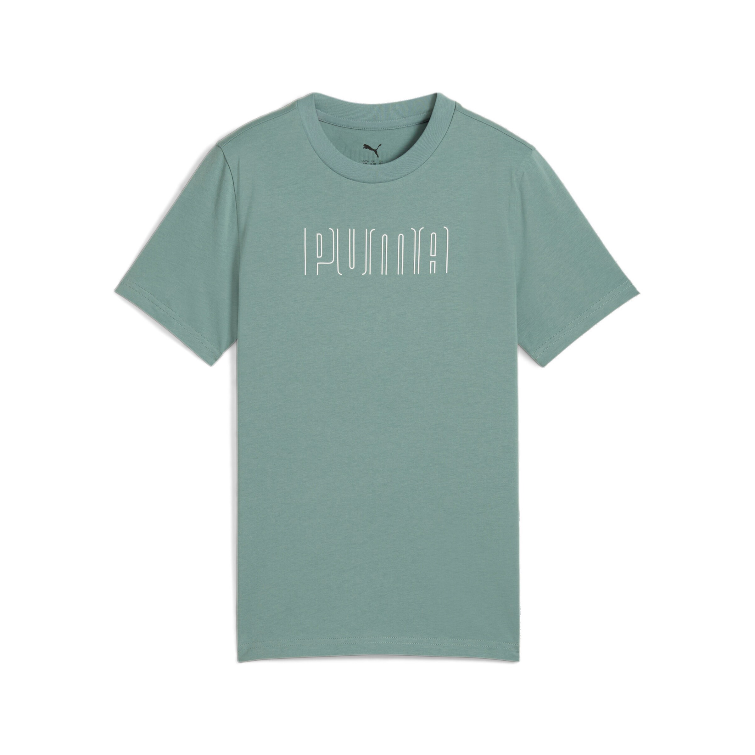 PUMA Shirt in Green: front