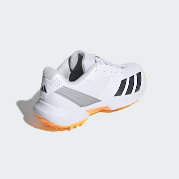 Chaussure de sport ADIDAS PERFORMANCE en blanc