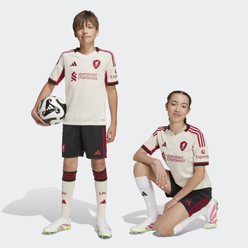 Regular Pantalon de sport 'Liverpool FC 25/26' ADIDAS PERFORMANCE en noir