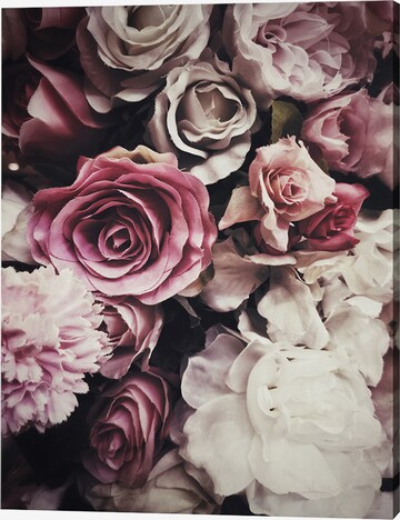 Liv Corday Bild 'Roses' in Weiß: predná strana