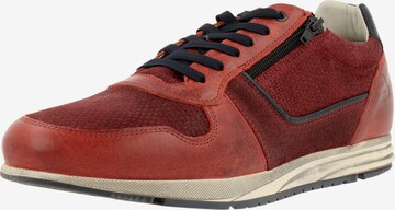 BULLBOXER Sneaker in Rot: predná strana