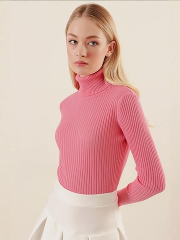 Bigdart Sweater in Pink