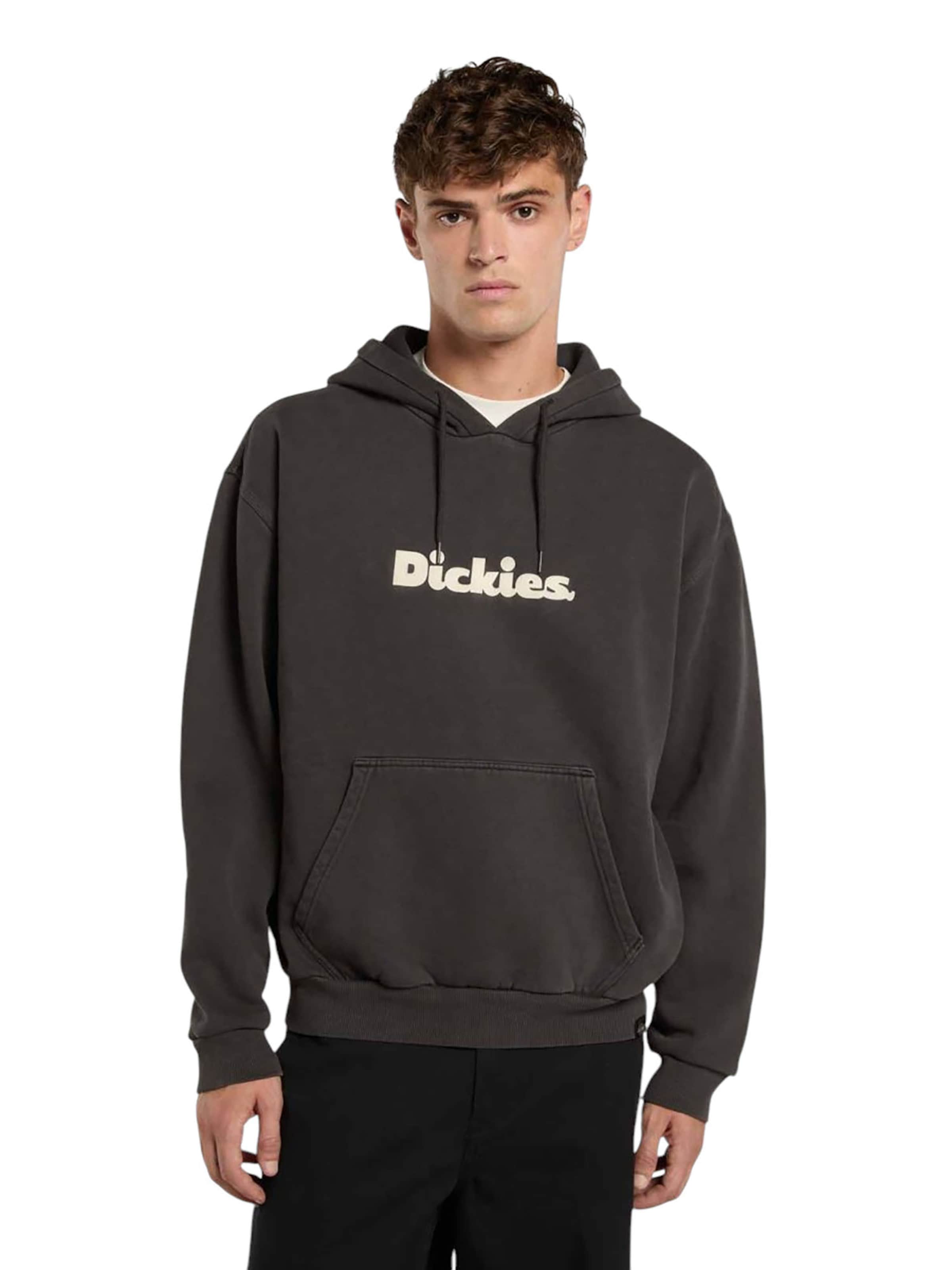 DICKIES Πουλόβερ 'Slayden Garment Dye' σε μαύρο: μπροστά