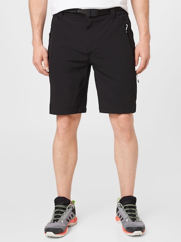 DARE2B Regular Outdoor Pants 'Disport' in Black: front