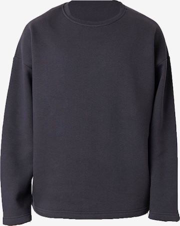 Sweat-shirt Dandalo en bleu : devant