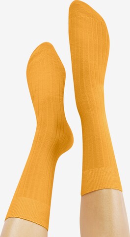 Chaussettes 'TOUGH GUY 4P' CHEERIO* en mélange de couleurs