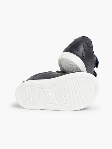 Pisamonas Trainers in Blue