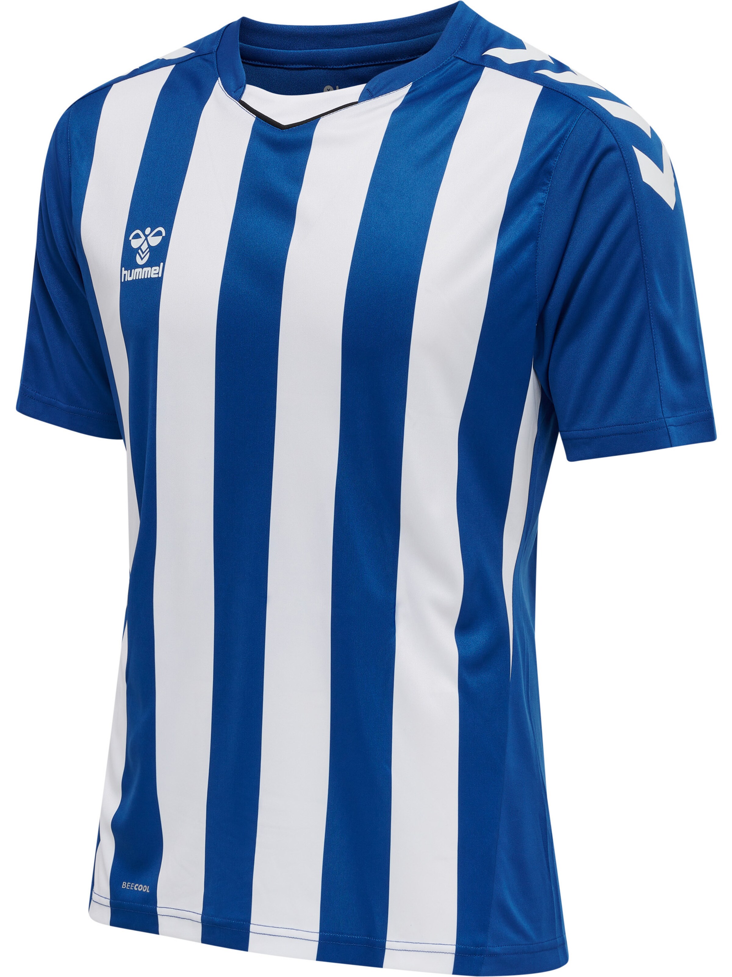 Hummel Trikot 'Core XK' in Blau
