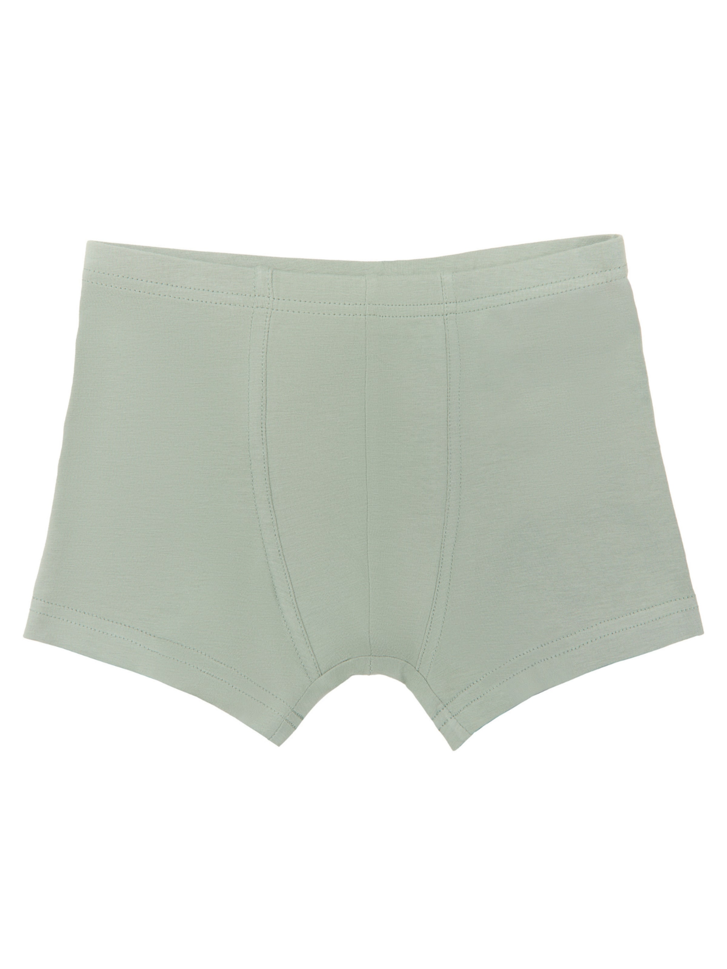 Albero Natur Underpants in Green