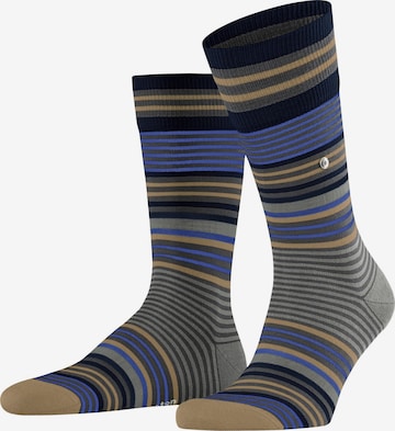 BURLINGTON Socks 'Stripe' in Grey: front