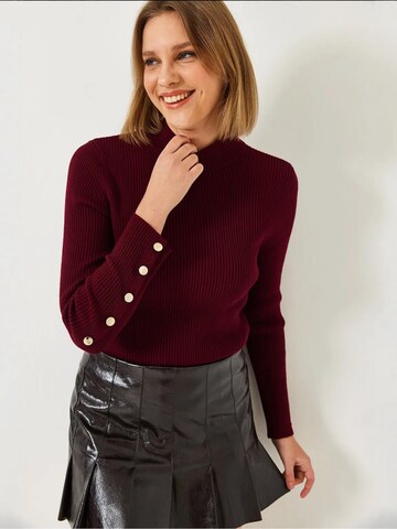 Bianco Lucci Sweater in Red: front