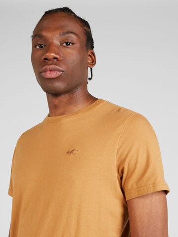 T-Shirt HOLLISTER en marron