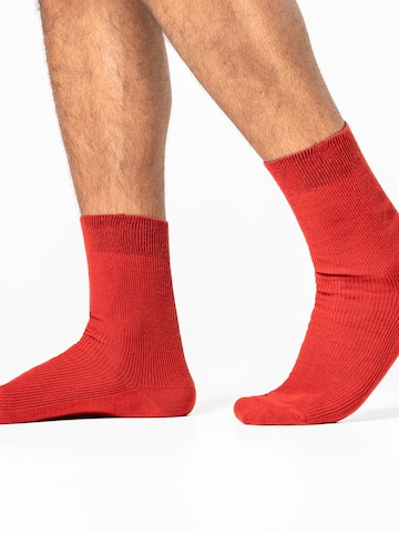 Living Crafts Socks 'ANTE' in Mixed colors