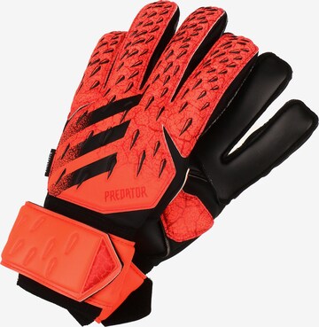 ADIDAS PERFORMANCE Athletic Gloves in Red