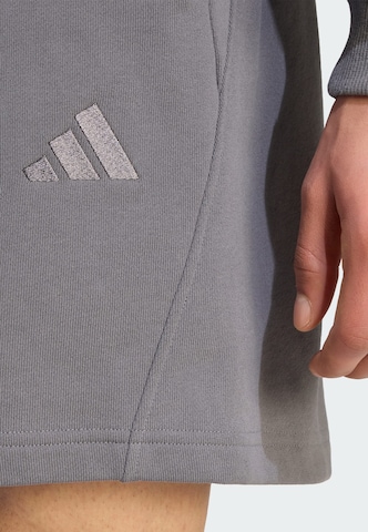 regular Pantaloni sportivi di ADIDAS SPORTSWEAR in grigio