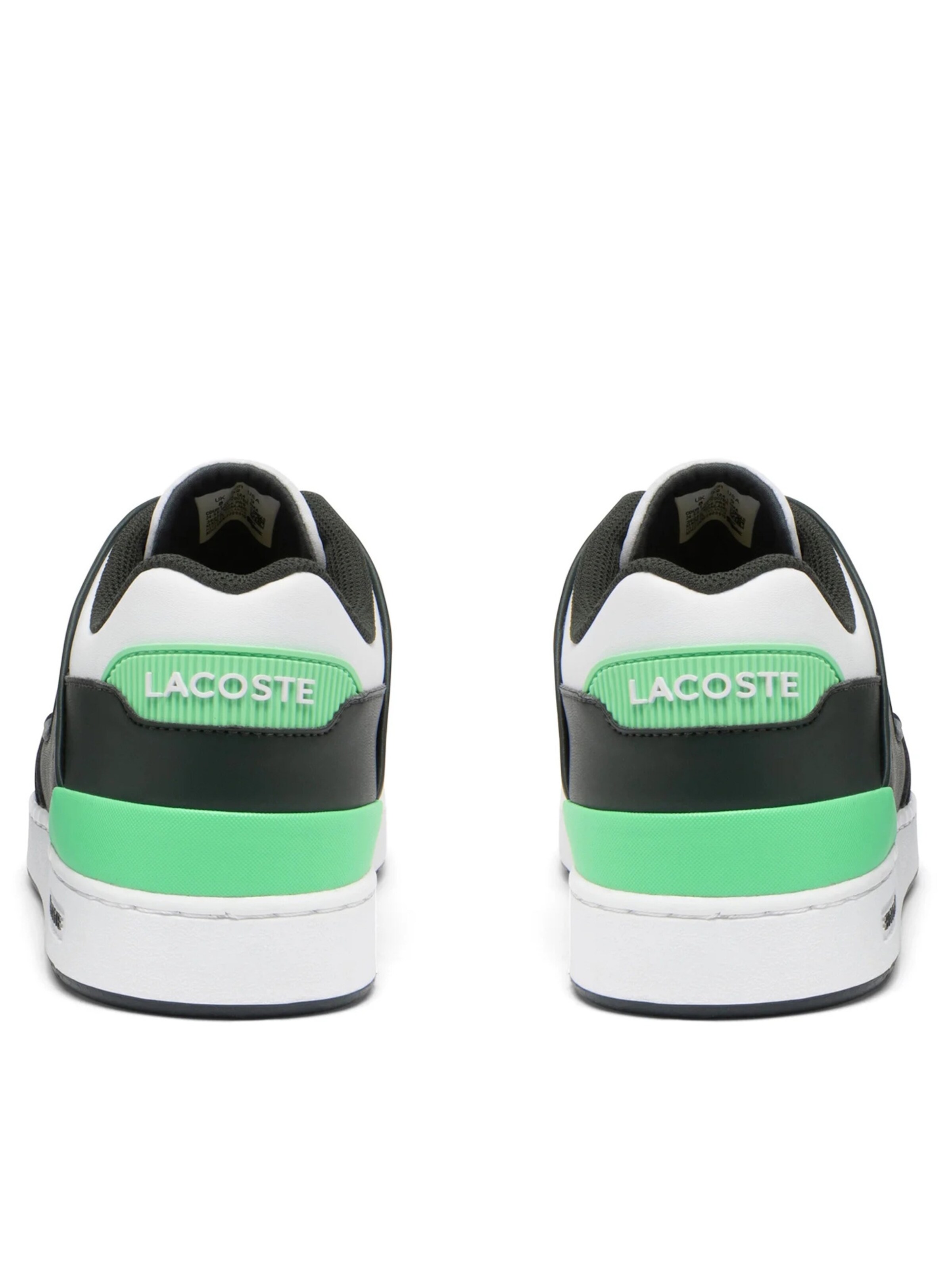 LACOSTE Nízke tenisky 'Court Cage' - Zelená