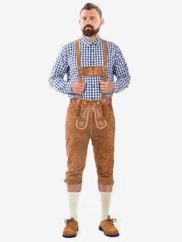 Regular Pantalon folklorique Alessandro Salvarini en marron : devant