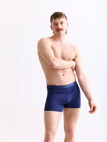 Boxers 'Casual Cotton' Erlich Textil en bleu