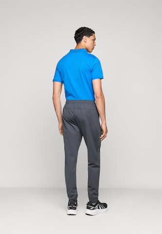 Tapered Pantaloni sportivi di 4F in grigio
