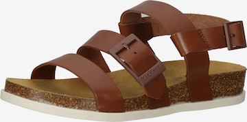 Kickers Strap Sandals 'Kick Alana' in Brown: front