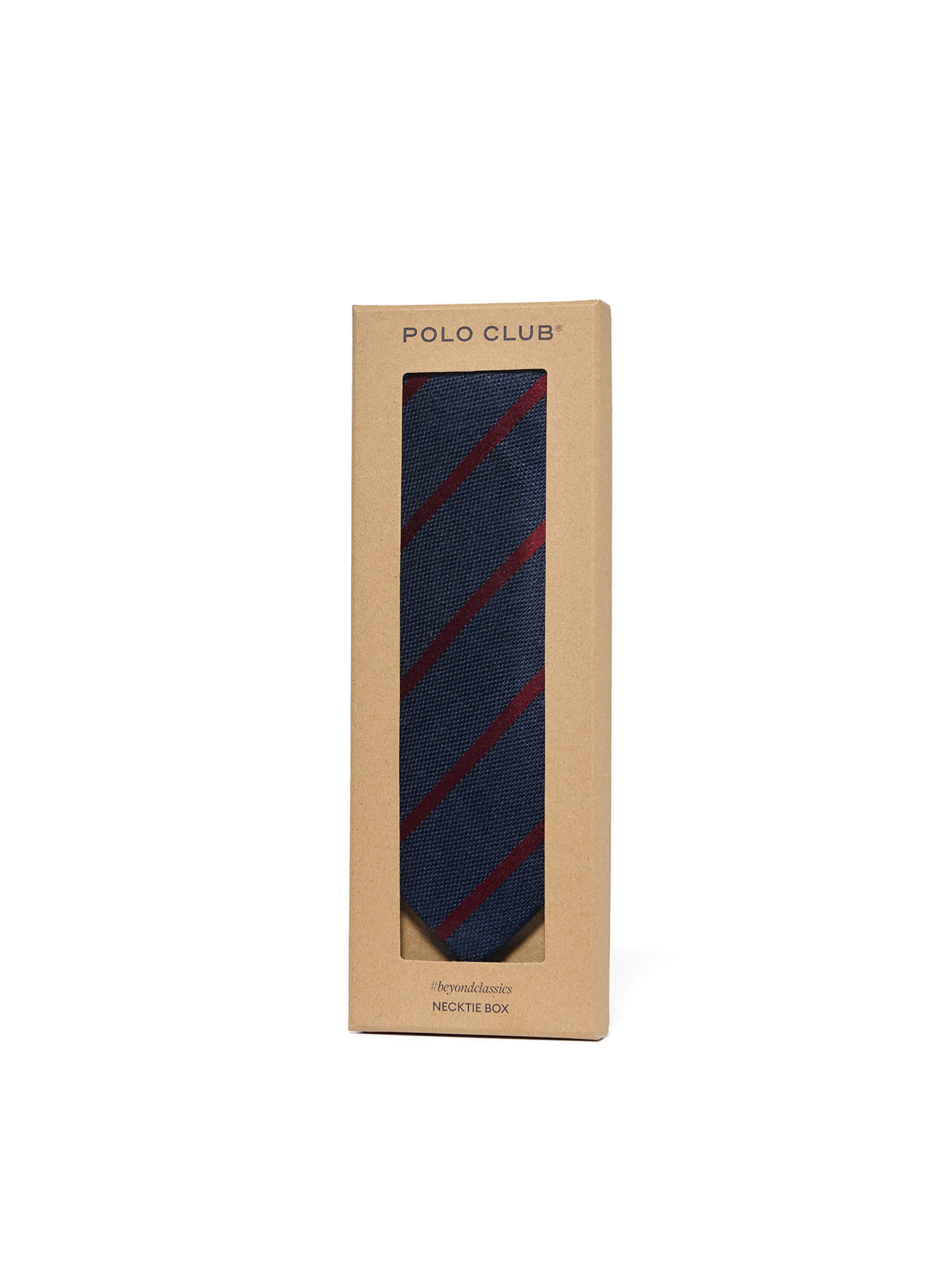 Polo Club Tie in Blue