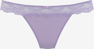 VIVANCE Thong in Purple: front
