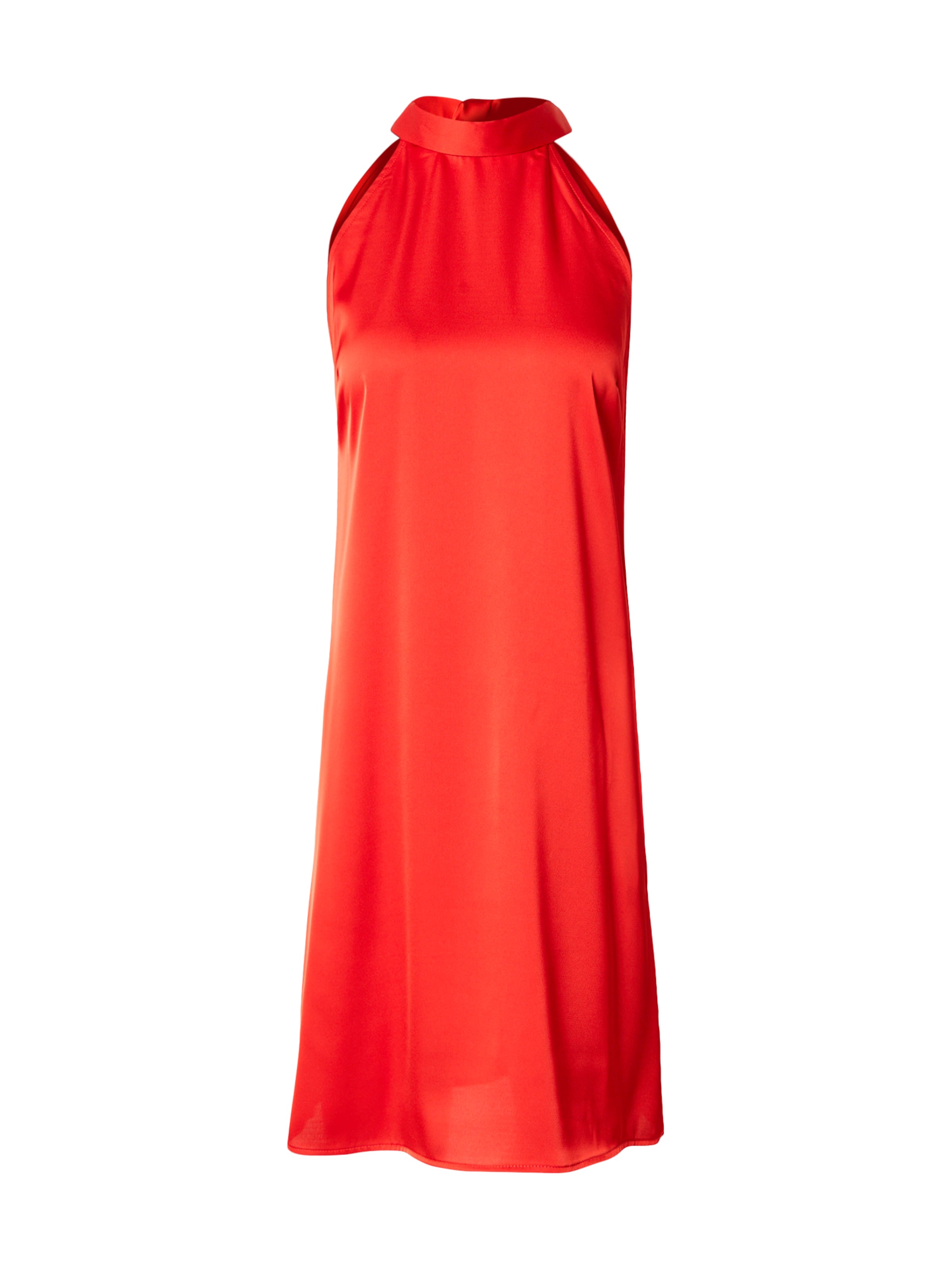 raudona VILA Suknelė 'VIENNA RAVENNA': priekis