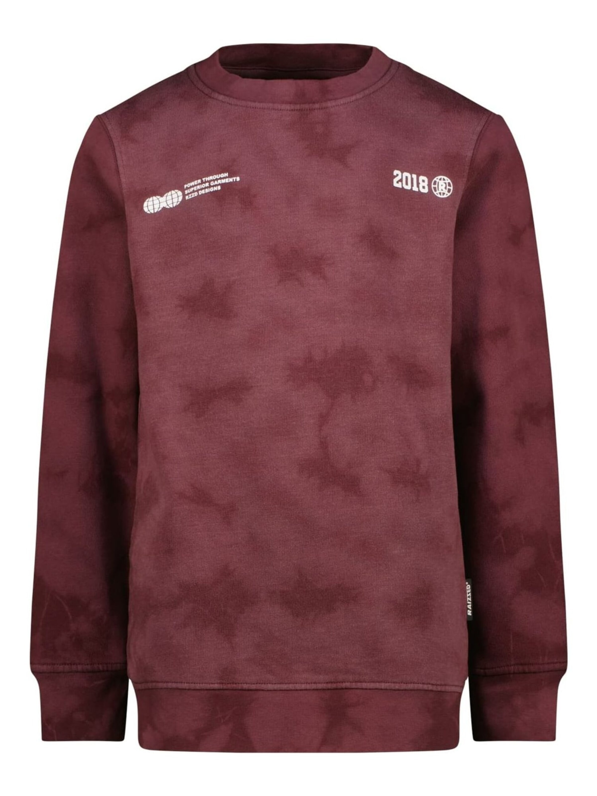 Raizzed Sweatshirt in Lila: voorkant