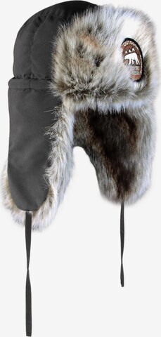 Chapeaux 'Arctic Ursa' normani en gris