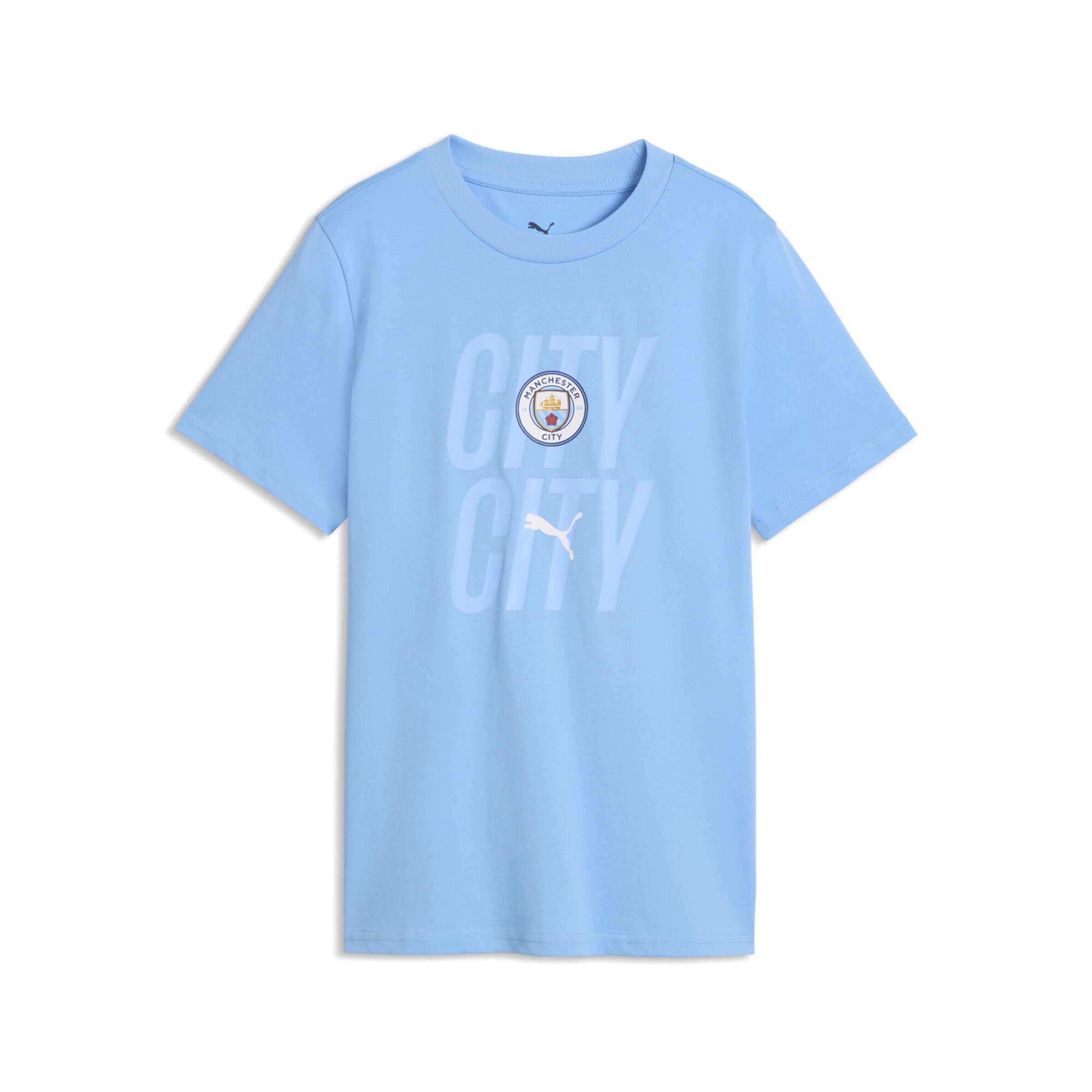PUMA Functioneel shirt 'Manchester City FtblCulture' in Blauw: voorkant