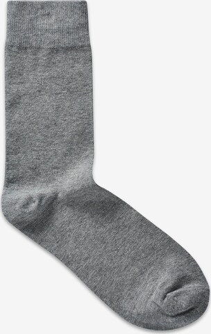 JACK & JONES Socks in Grey