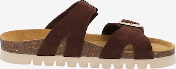 Palado Mule in Brown