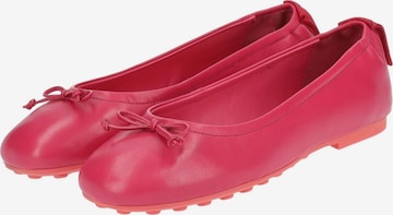 GANT Ballet Flats in Pink