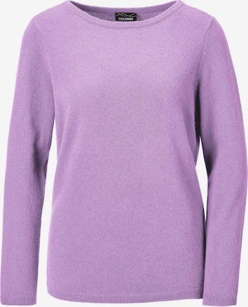 Pull-over Goldner en violet : devant