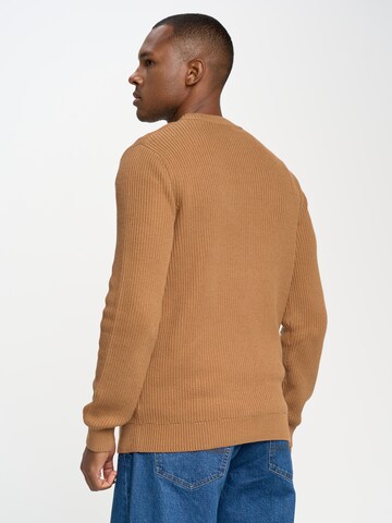 BIG STAR Sweater 'Riko' in Brown