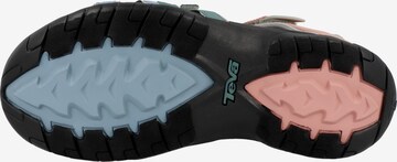 TEVA Sandals 'Tirra' in Mixed colors