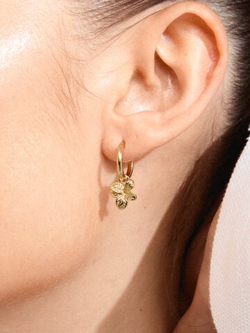 Pilgrim Earrings 'Charmaine' in Gold