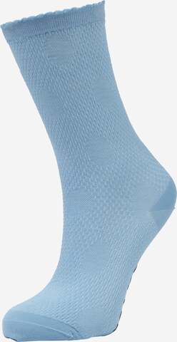 FALKE Socken in Blau: predná strana