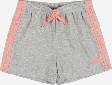 ADIDAS PERFORMANCE Shorts in Grau: front