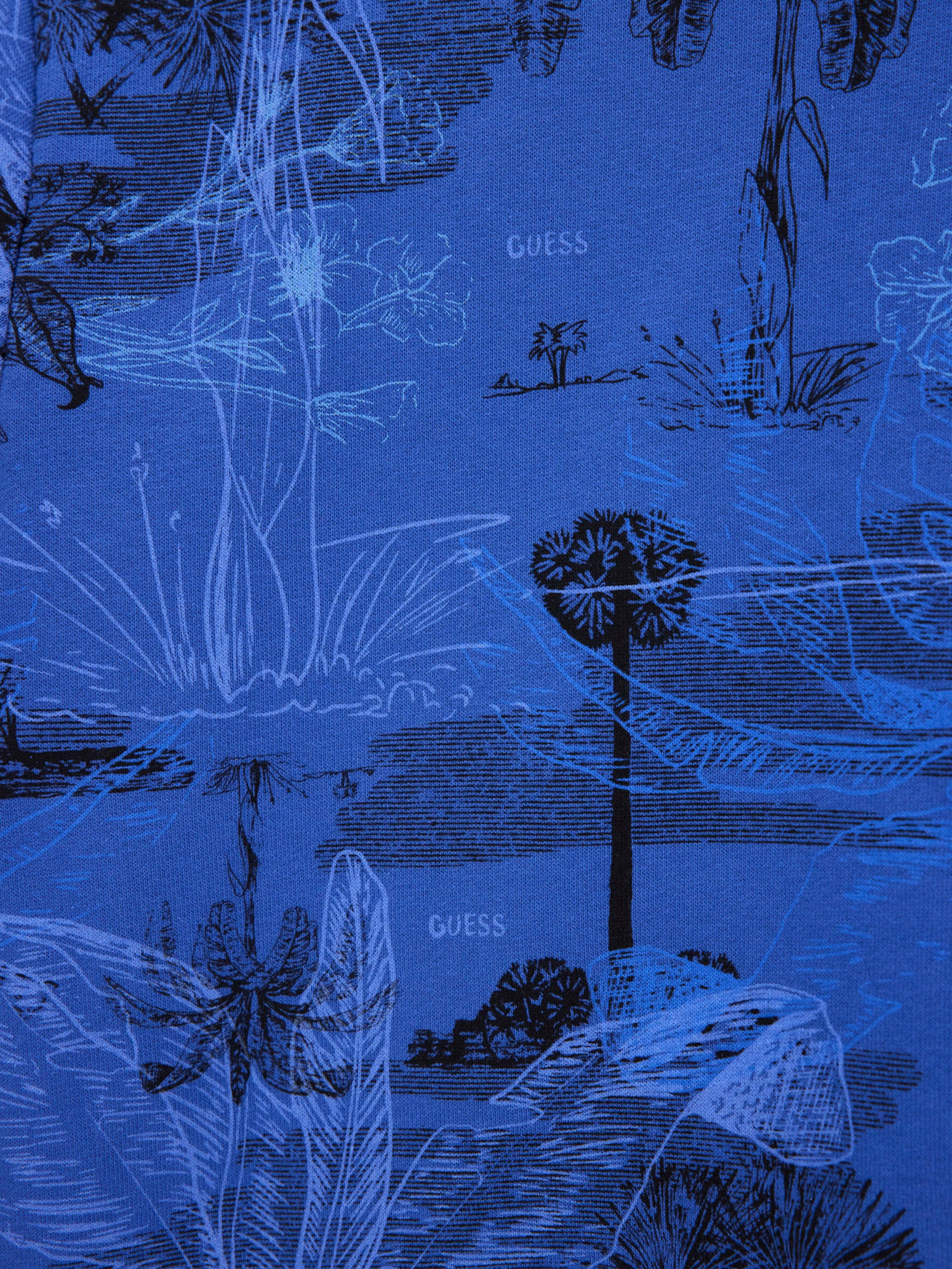 GUESS Sweatshirt in Blue