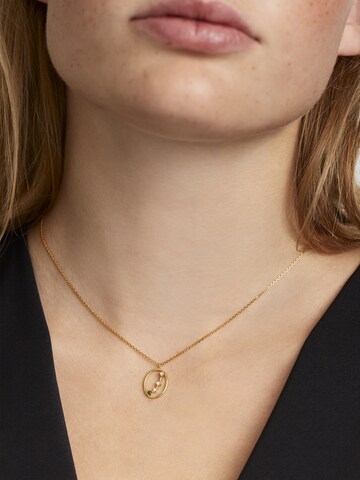 P D PAOLA Necklace 'Aries' in Gold: front