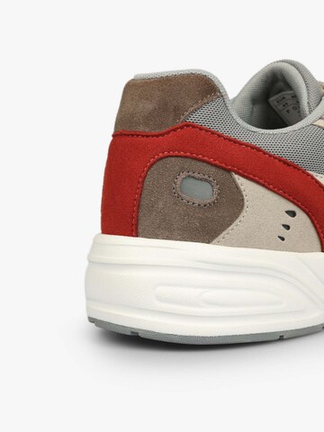 Baskets basses 'Mountaineer' Scalpers en gris