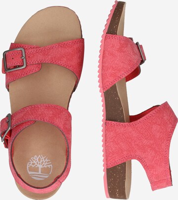 TIMBERLAND Sandals 'Castle Island' in Pink