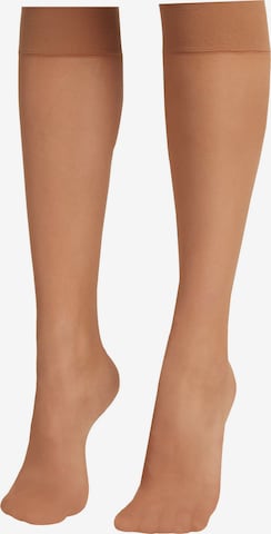 CALZEDONIA Knee High Socks in Beige: front