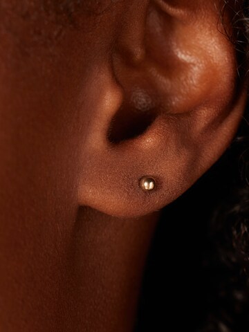 Lucardi Oorbellen in Goud