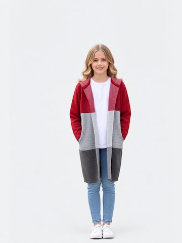 Hilal Akinci Kids Gebreid vest 'HİLAL AKINCI KİDS Kinder Strickjacke mit Knopfleiste' in Gemengde kleuren